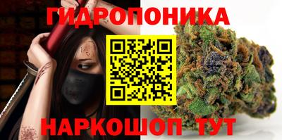 индика Лесосибирск