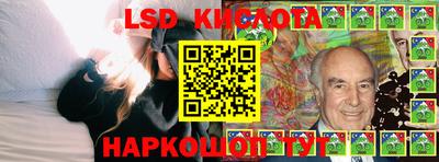 индика Лесосибирск