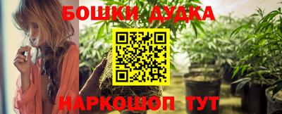индика Лесосибирск