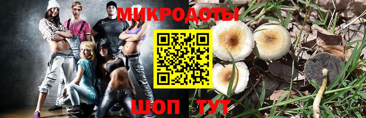 где купить   Вход с VPN  Псилоцибиновые грибы мухоморы  Железногорск  Галлюциногенные грибы Cubensis 